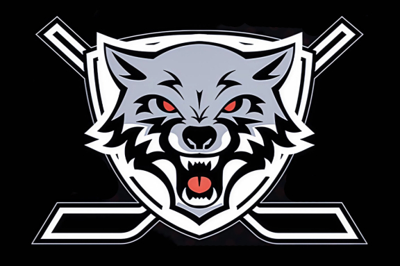 ХК "Тамбов" - ХК "Барс"