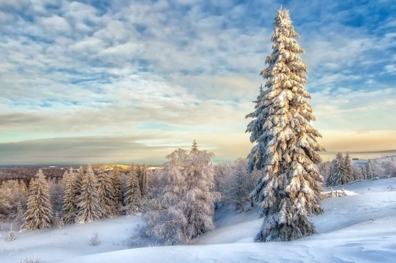 Подарок для Снегурочки