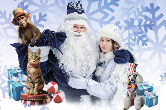 Где Дед Мороз?